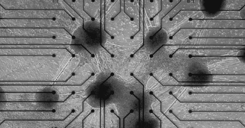 全球首台商用可编程活体计算机 CL1 问世，将人类神经元与硅基芯片结合全球首款活体计算机 CL1 即将在 2025 年下半年上市！这款由澳大利亚初创公司 Cortical Labs 研发的划时代产品，采用人类血液干细胞培育的神经元作为核心处理器，开创了合成生物智能（SBI）的新纪元