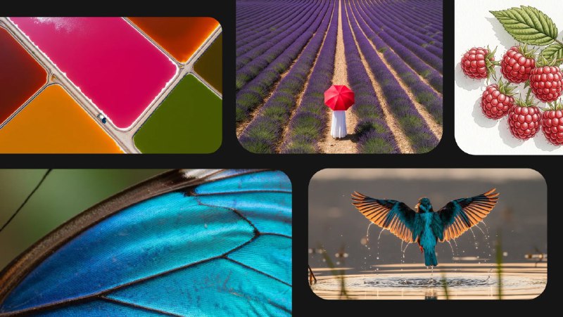 Google 在 Google IO大会上发布 Imagen 4谷歌表示，它能够渲染织物、水滴和动物毛发等“精细细节”